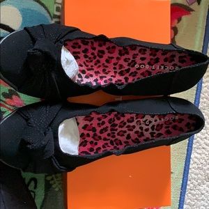 Rocket Dog shoes. NEVER WORN.